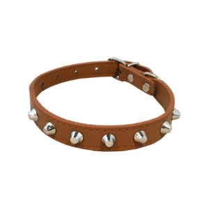 Collar para mascota