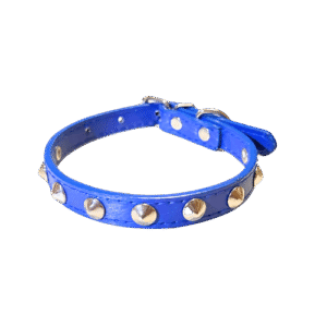 Collar para mascota M