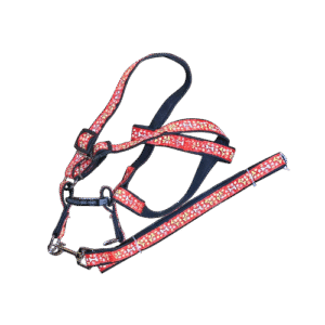 Correa con pechera para perro