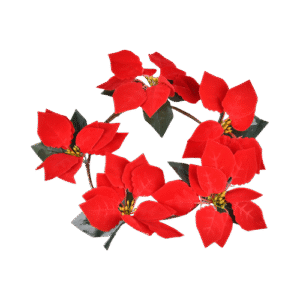 Noche buenas artificiales